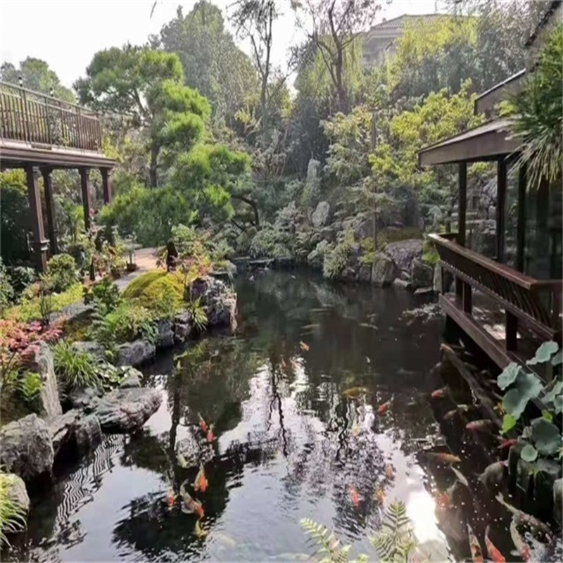 博罗小庭院假山鱼池